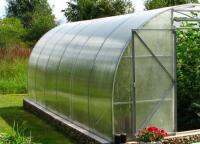 Growing vegetables and herbs in greenhouses
